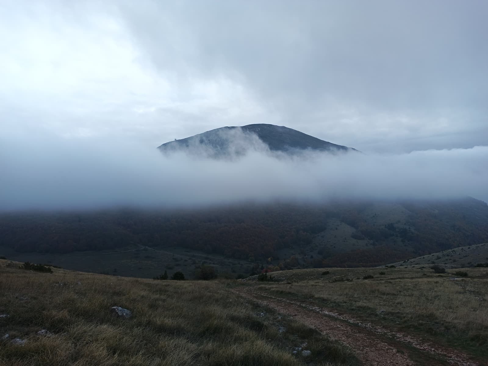 Scouting Macedonian Juniper — photo 1